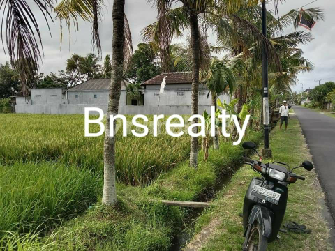 Tanah Lokasi Belalang Tanah Lokasi Belalang