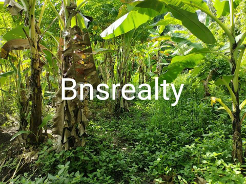 Tanah Lokasi Pererenan