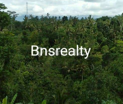 Land Location in Bukian