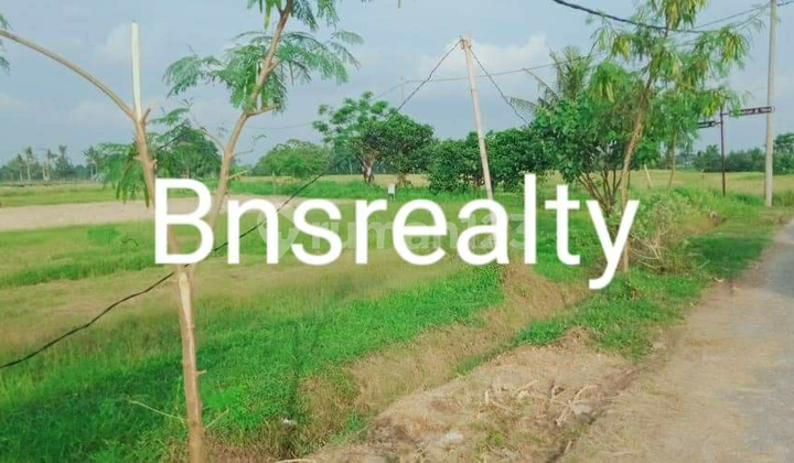 Tanah Lokasi Kedungu Tanah Lokasi Kedungu