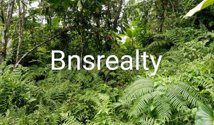 Tanah Lokasi Tampaksiring Tanah Lokasi Tampaksiring