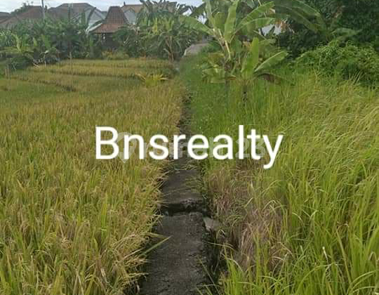 Tanah Lokasi Padang Linjong Tanah Lokasi Padang Linjong