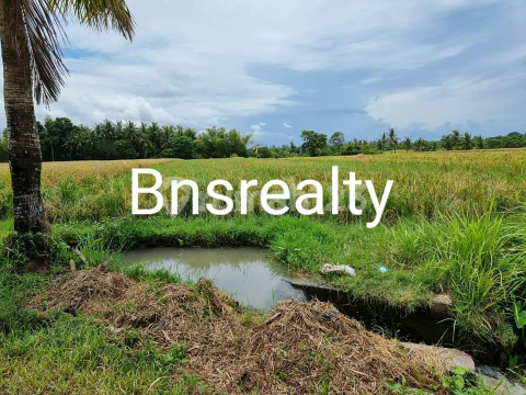 Tanah Lokasi Kedungu Tanah Lokasi Kedungu