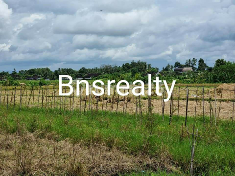 Tanah Lokasi Kedungu Tanah Lokasi Kedungu