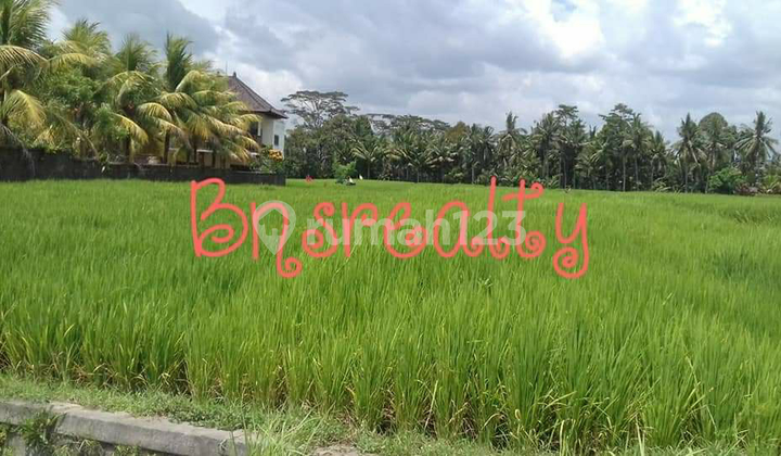 Tanah Lokasi Petulu Tanah Lokasi Petulu