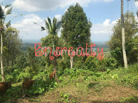 Tanah Lokaai Gunung Salak Tanah Lokaai Gunung Salak