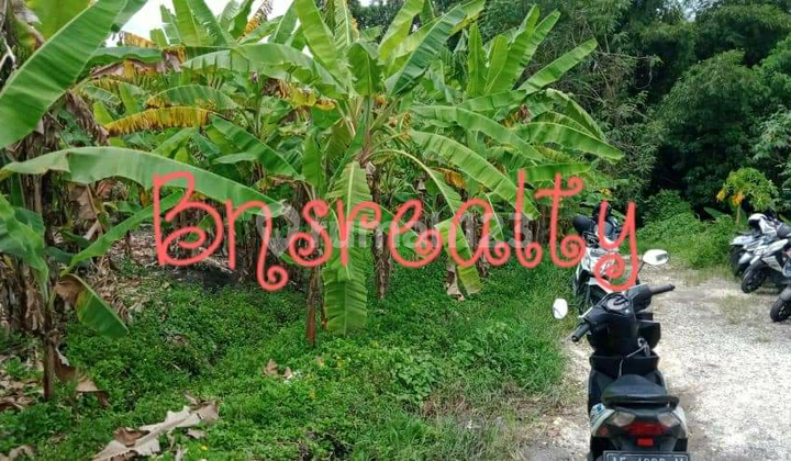 Land Location Canggu