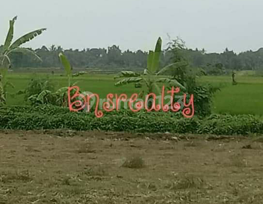 Tanah Lokasi Nyitdah Tanah Lokasi Nyitdah