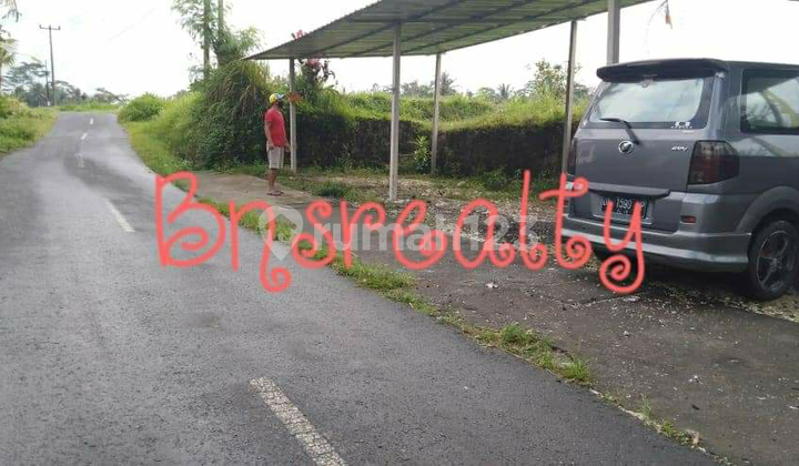 Land Location Kelusa