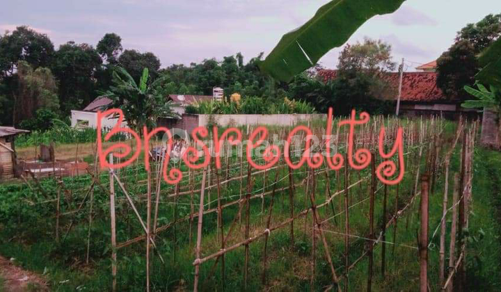 Tanah Lokasi Tumbak Bayuh Tanah Lokasi Tumbak Bayuh