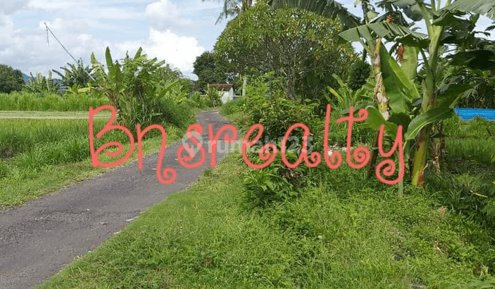 Tanah Lokasi Jumpai 2