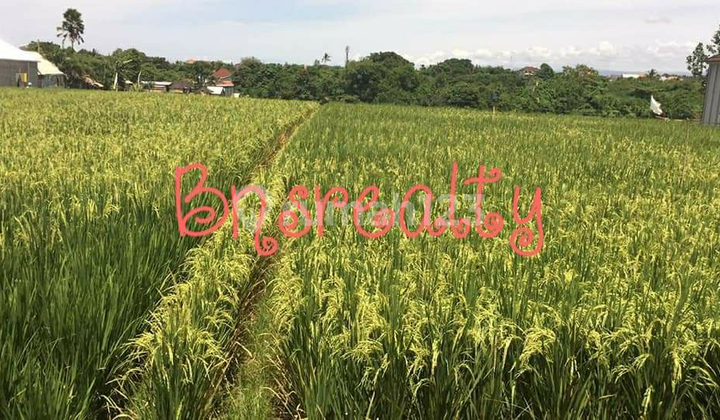 Tanah Lokasi Pererenan Tanah Lokasi Pererenan