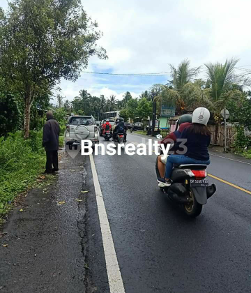 Land Location Baturiti Land Location Baturiti