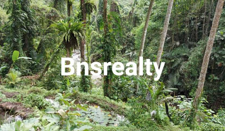 Tanah Lokasi Tegallalang Tanah Lokasi Tegallalang