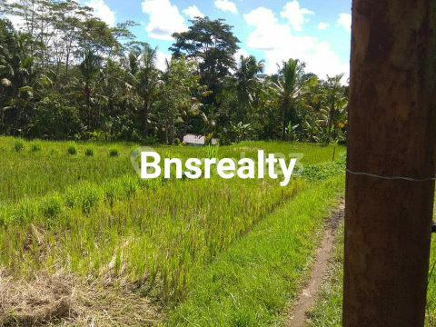 Kenderan Land Location