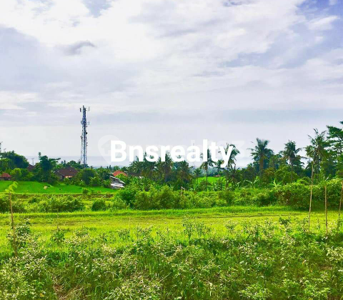 Land Location Sukasada Land Location Sukasada