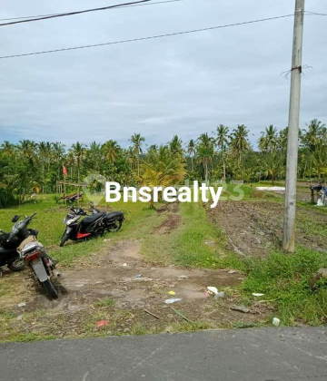 Tanah Lokasi Tampak Siring