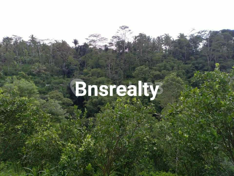 Tanah Lokasi Tegallalang Tanah Lokasi Tegallalang