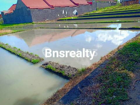 Tanah Lokasi Pererenan