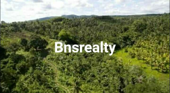 Antosari Location Land