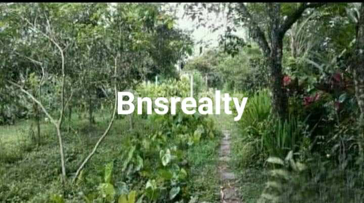 Land Location Luwus Land Location Luwus