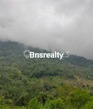 Land Location Gesing Land Location Gesing