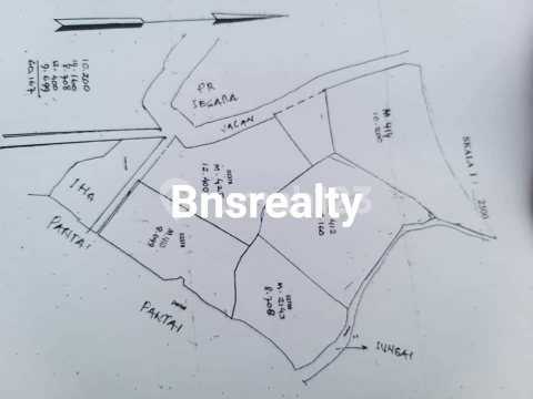 Tanah Lokasi Peringa Tanah Lokasi Peringa