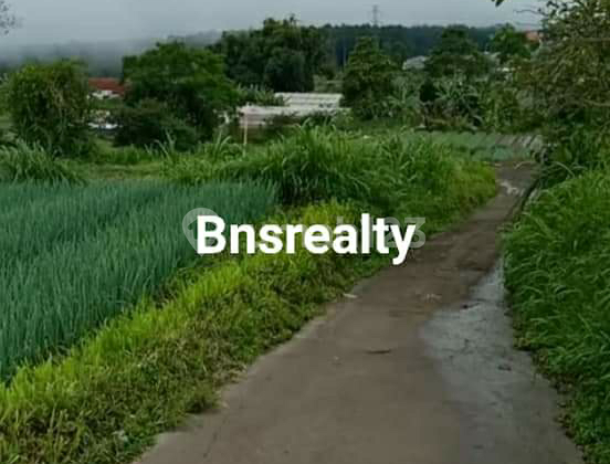 Land Location in Candikuning