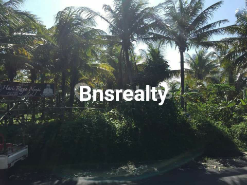 Beachfront Land at Pasut Beach