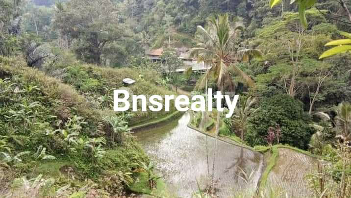 Tanah Lokasi Taro Tanah Lokasi Taro