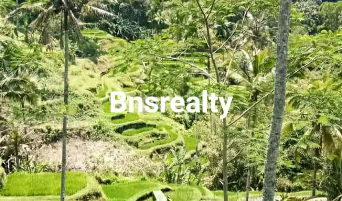 Tanah Lokasi Taro Tanah Lokasi Taro