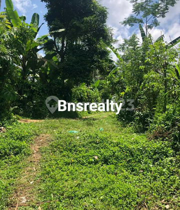 Tanah Lokasi Tegallalang