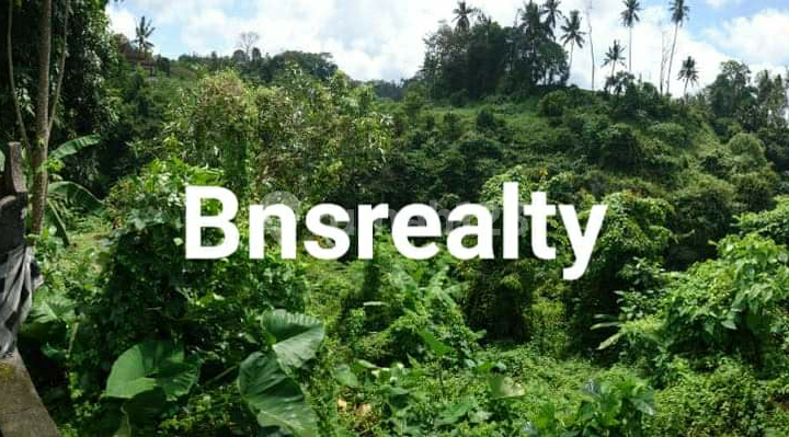 Tanah Lokasi Goa Gajah