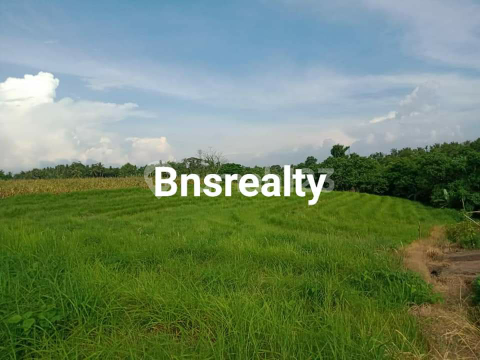 Tanah Lokasi Klecung Tanah Lokasi Klecung