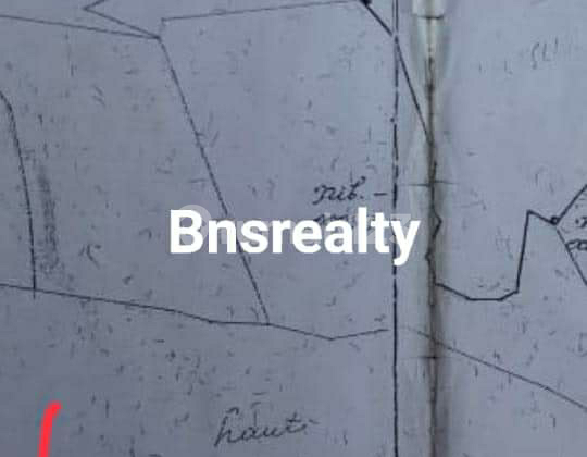 Tanah Lokasi Sekartaji