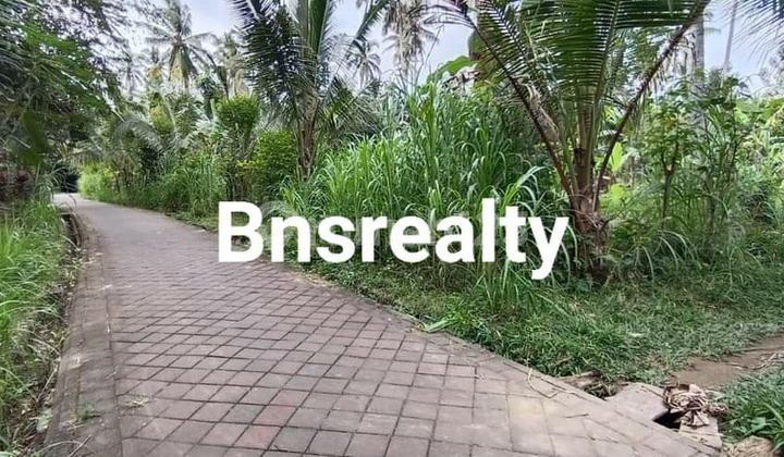 Land Location Garden