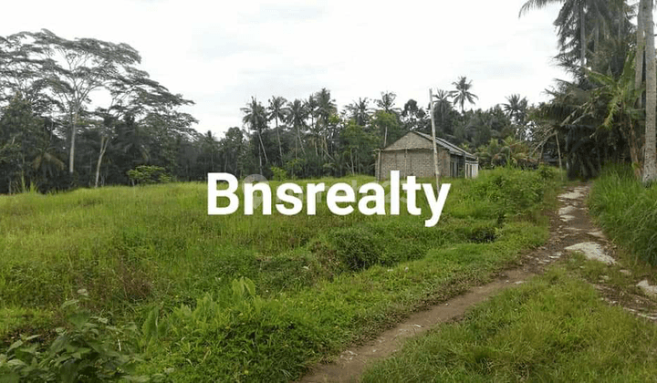 Tanah Lokasi Bitera 1