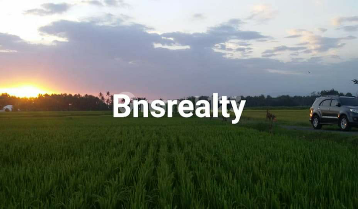 Tibubiu Location Land