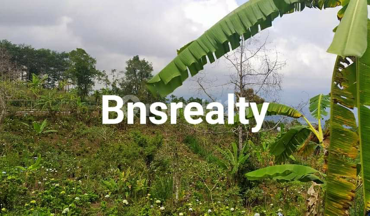 Land Location at Tamblingan Lake