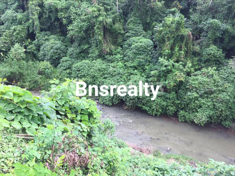 Tanah  Lokasi Pejeng Kaja