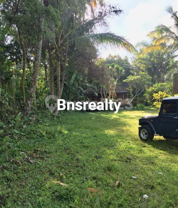 Tanah Lokasi Payangan