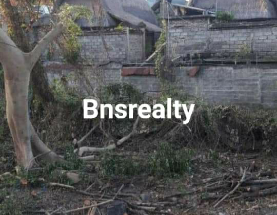 Land in Allegian location Land in Allegian location