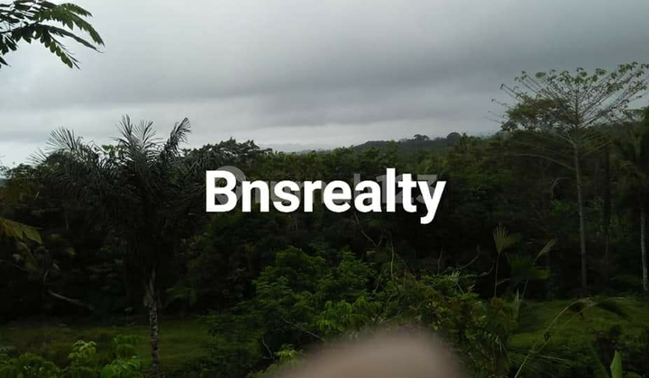 Tanah Lokasi Payangan