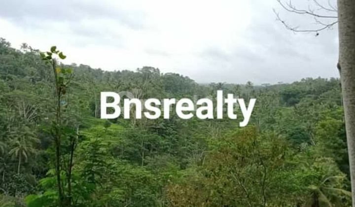 Tanah Lokasi Tampak Siring