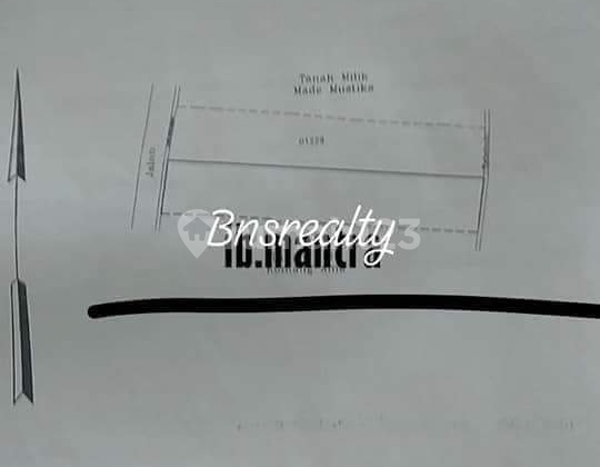 Tanah Lokasi IB Mantra Gianyar