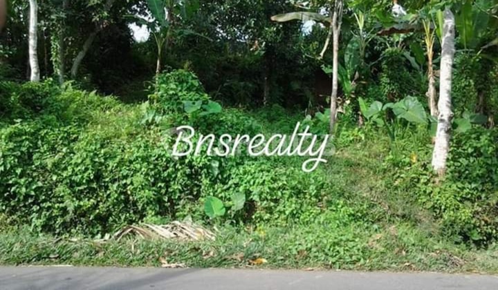 Tanah Lokasi Buahan Gianyar