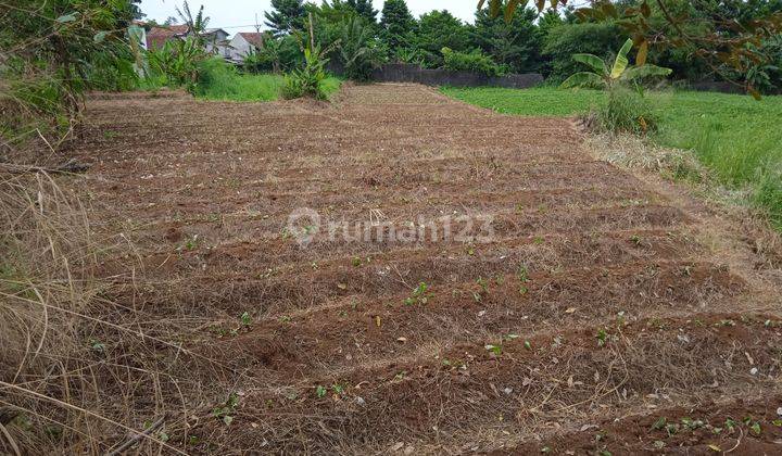 Tanah Strategis di Ciomas Bogor 1