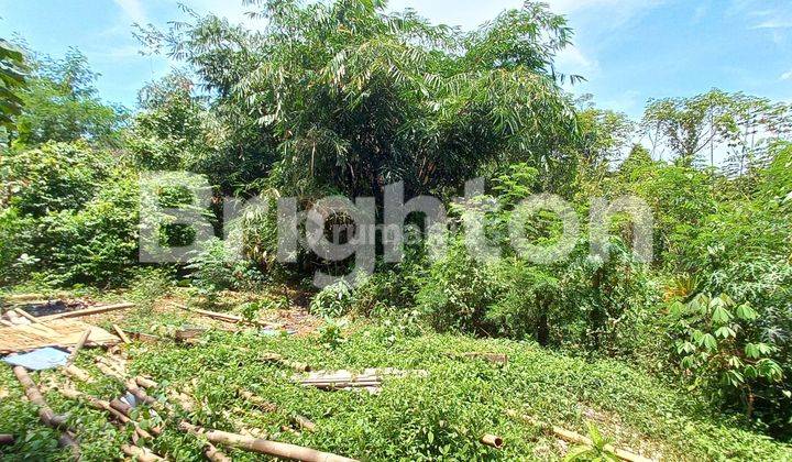 TANAH COCOK UNTUK USAHA DEKAT GERBANG TOL SADANG 1