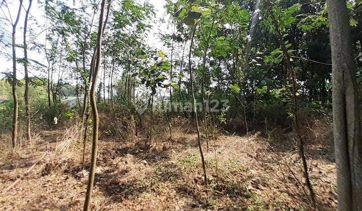 TANAH  CEPAT SIAP BANGUN LOKASI SANGAT BAGUS LINGKUNGAN SEKITAR PERUMAHAN 1