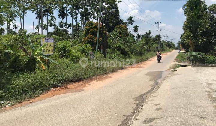 Tanah keras di daerah Rumbai, Pekanbaru 2